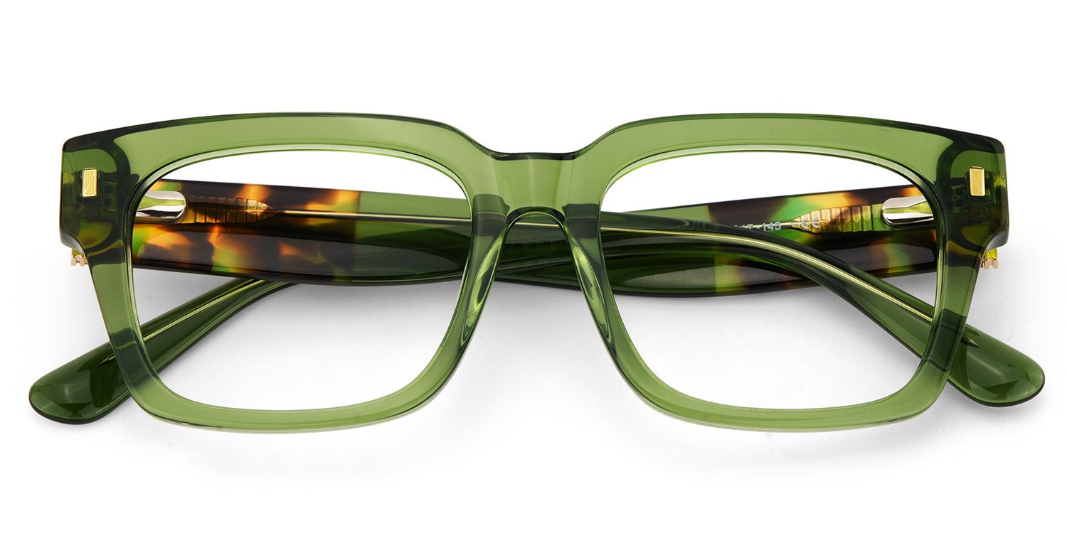 Clear Green Glasses Frames With Green and Tortoise Temples1