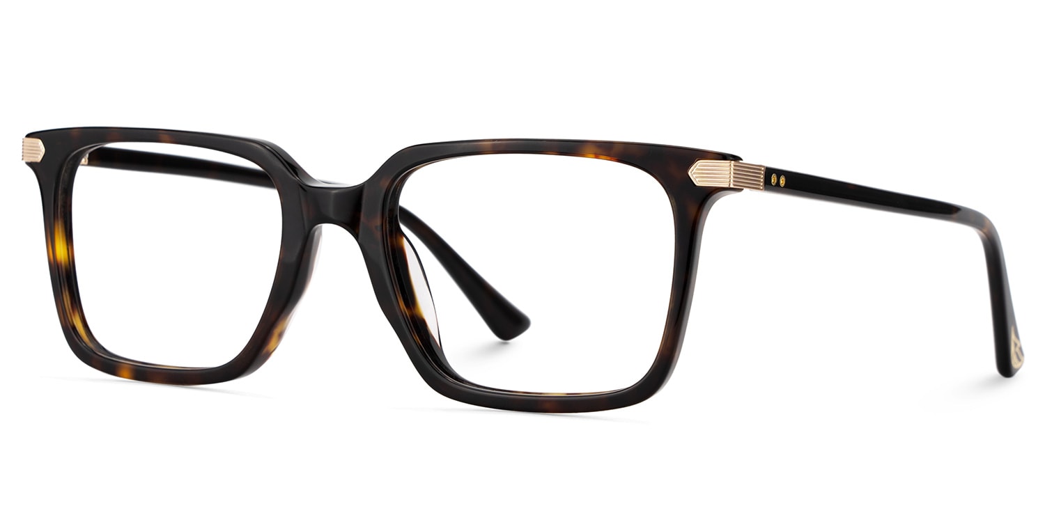 Goveo Rectangle Tortoise Glasses3