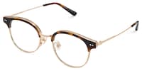 Diiaz Oval Tortoise Glasses2