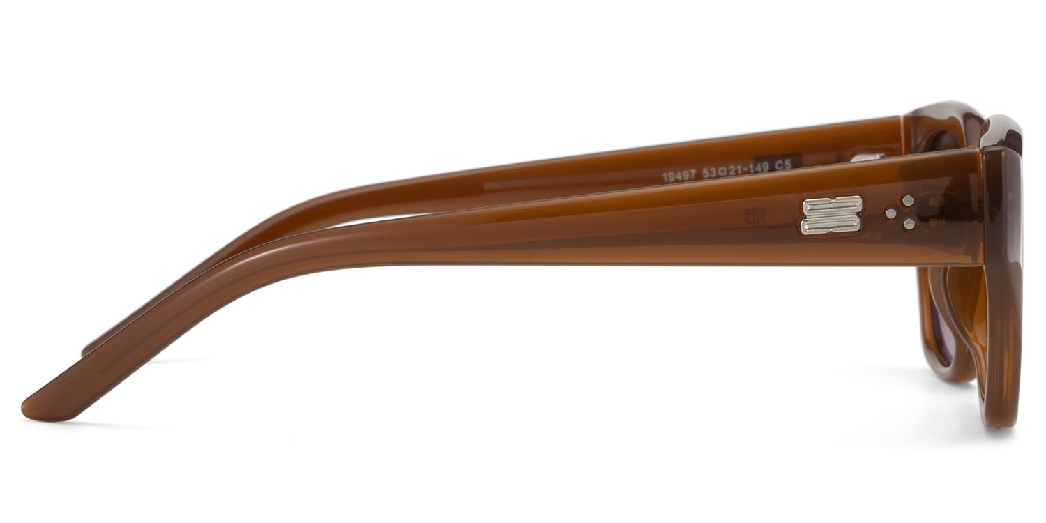 Serene Cat Eye Brown Crystal Polarized Sunglasses4