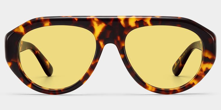 The Aviator Tortoise Aviator Glasses