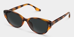 Livia Cat eye Tortoise Polarized Sunglasses2