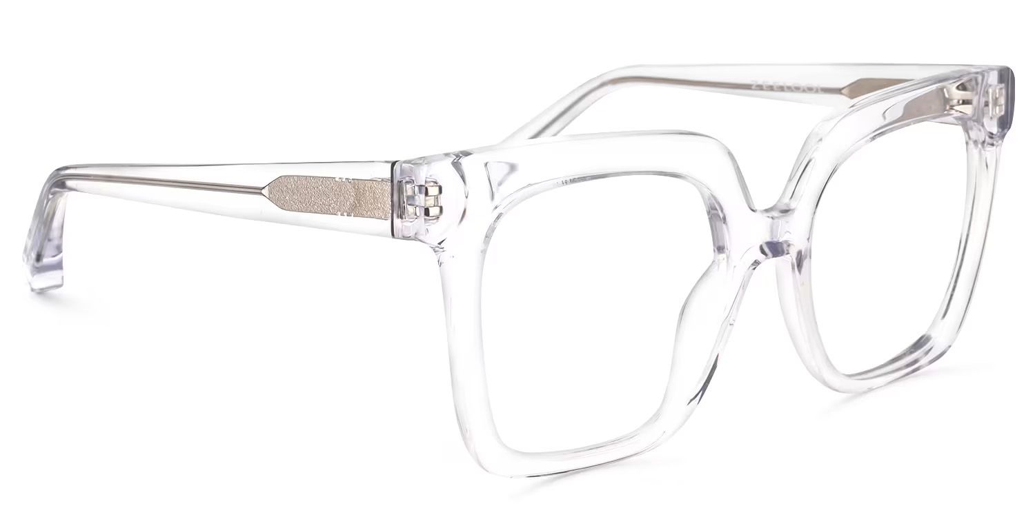Dexter Square Clear Eyeglasses and Acetate Frames1