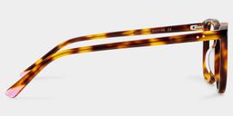 Brady Tortoise Butterfly Glasses3