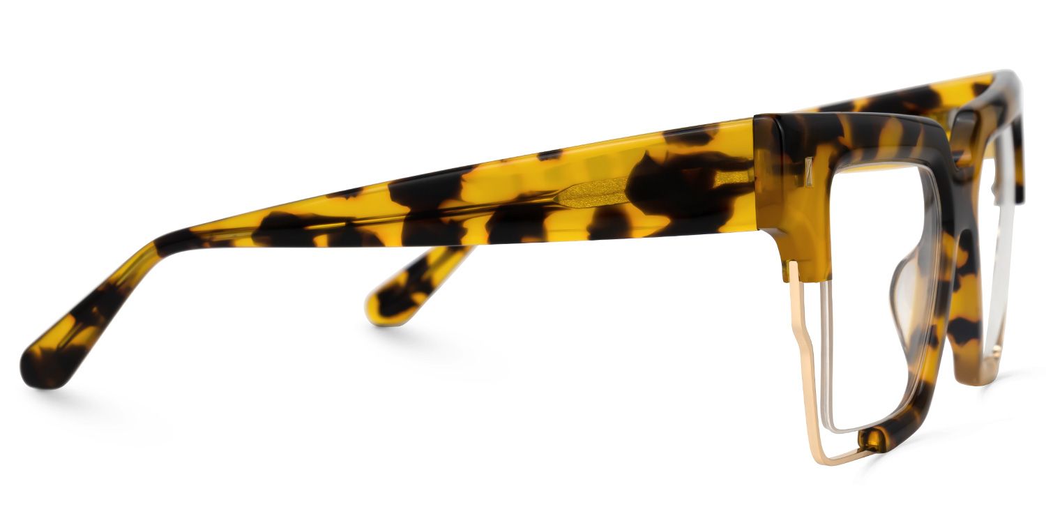 Aidza Square Tortoise Glasses