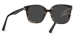 Siner Square Havana Glasses4