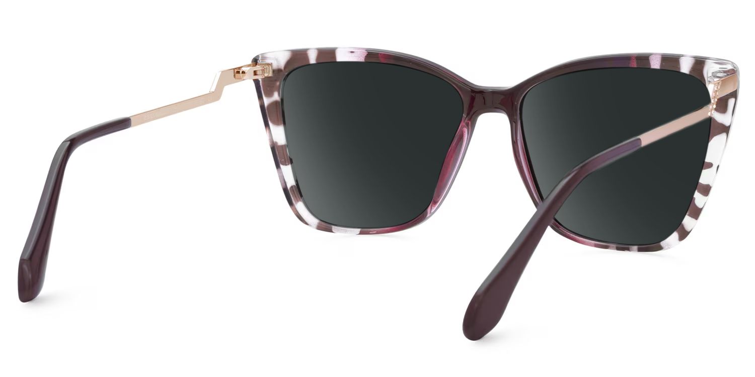 Awilda Cateye Purple and Tortoise Sunglasses3