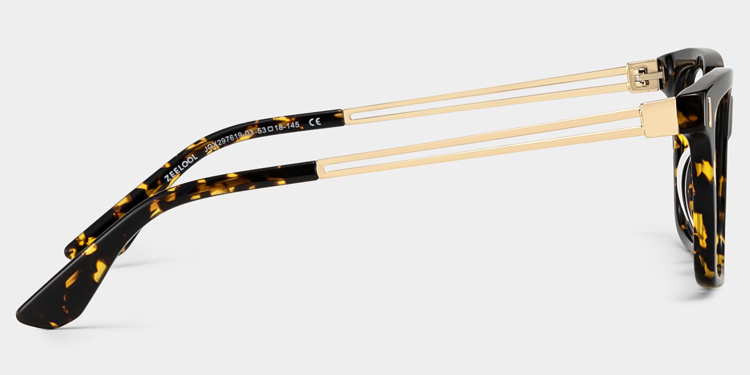 Axel Tortoise Frame Glasses with Rectangle Frame Online | ZEELOOL5