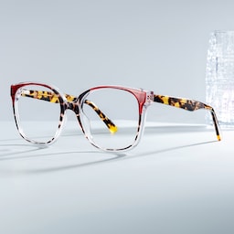Siner Square Red Tortoise Glasses1