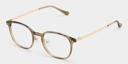 Mira Oval Brown Glasses5