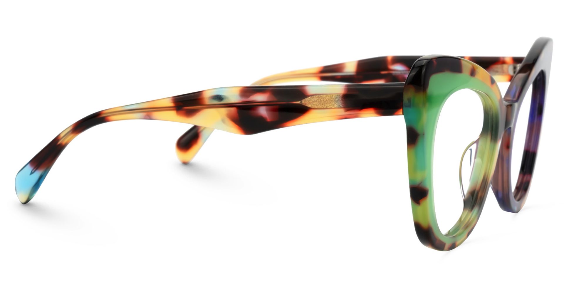 Dunkley Designer Eyeglasses in Cateye Multicolor Frame2