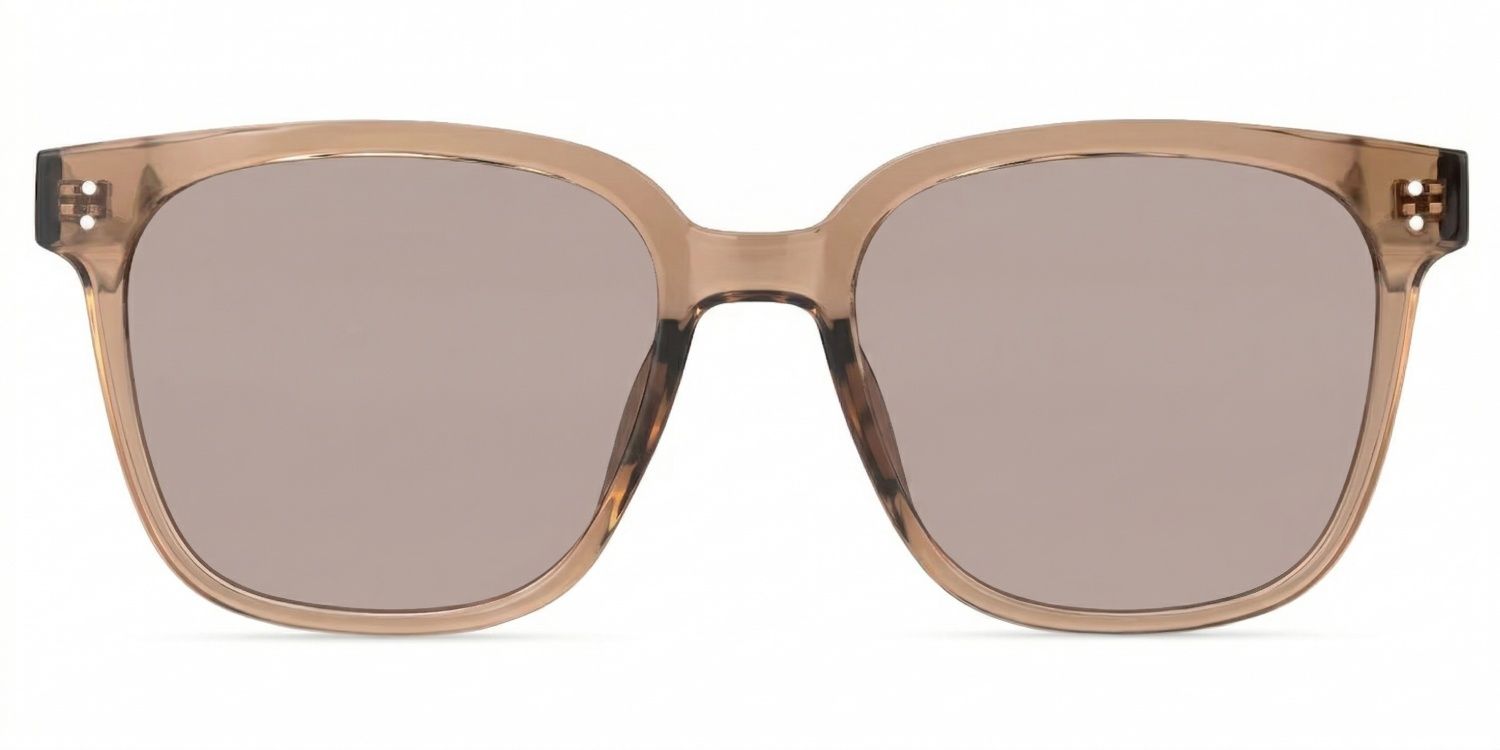 Donnalyn Tr90 Brown Frame Sunglasses | ZEELOOL