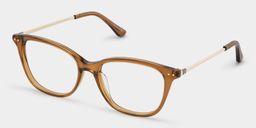 Finch Brown Rectangle Glasses3
