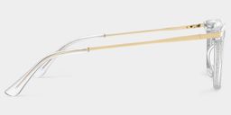 Selena Rectangle Clear Glasses4