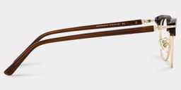 Capri Brown Browline Glasses3