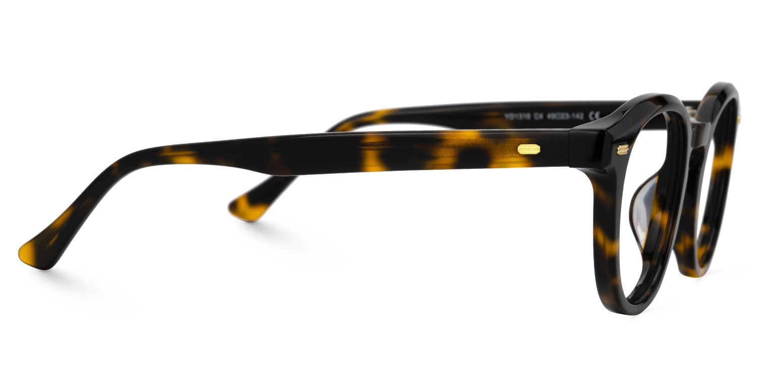 Dicks Eyeglasses in Round Tortoise Frame | Zeelool2