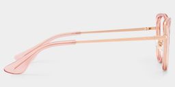 Celine  Cat-eye Pink Glasses4