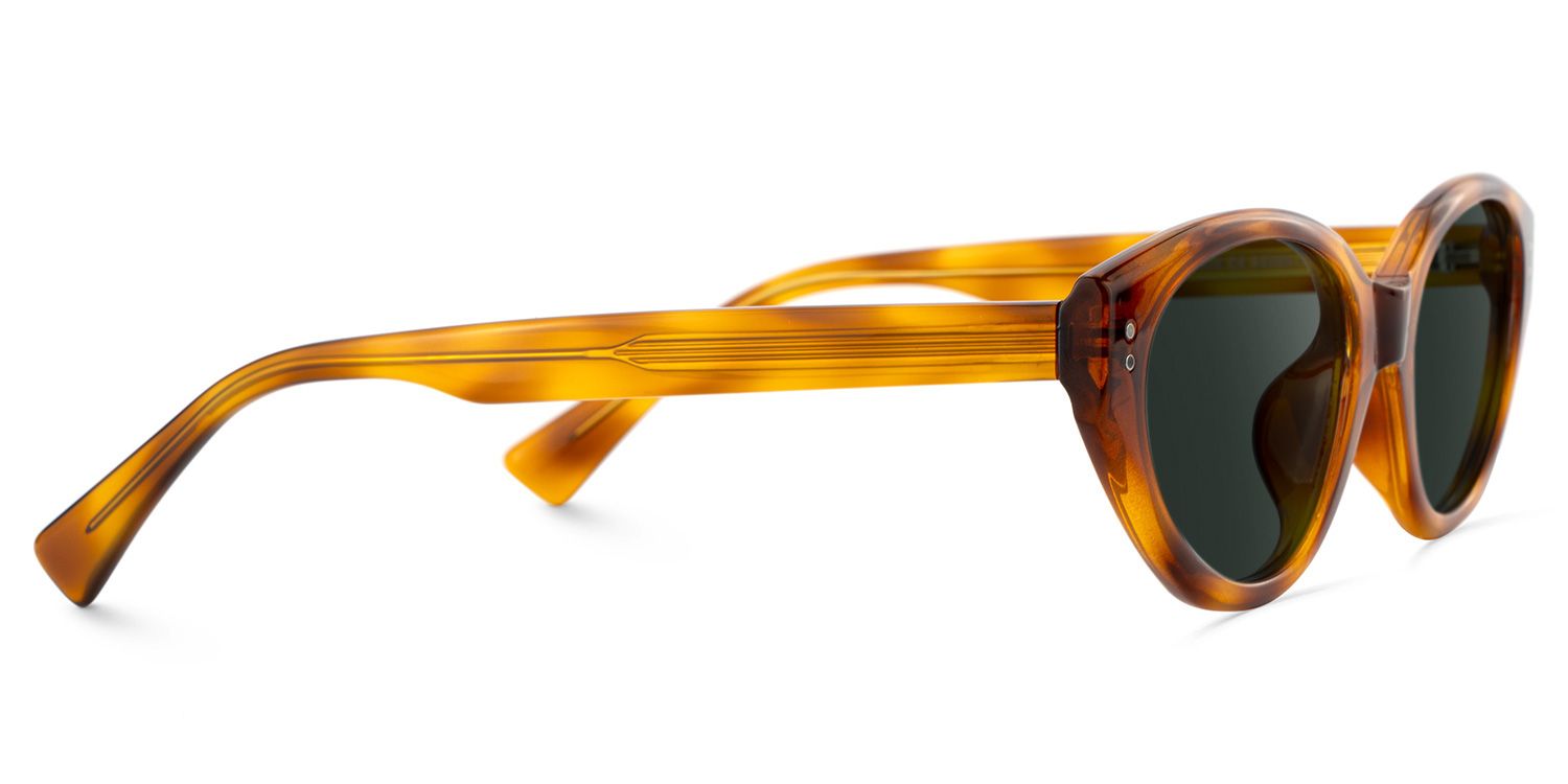 Raine Tr90 Tortoise Cat Eye Frame Sunglasses | ZEELOOL3