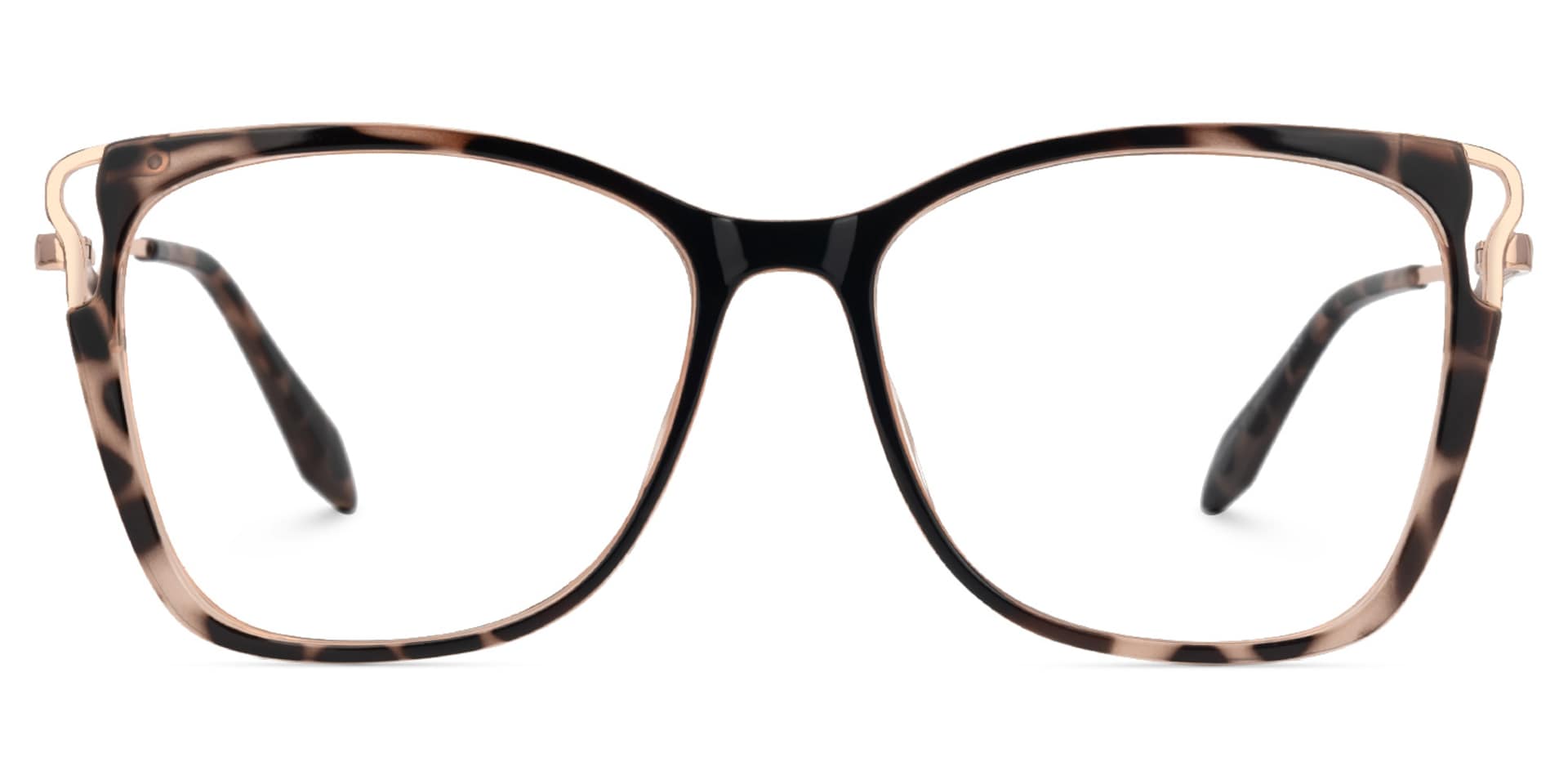 Farria Square Dark Havana Glasses for Women and Men1
