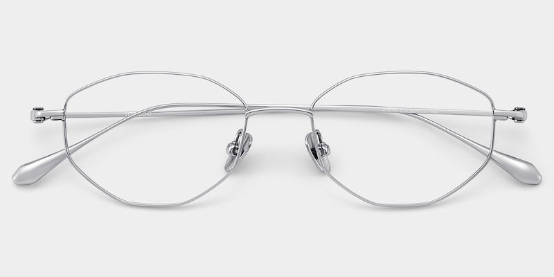 Everett Silver Frame Glasses with Geometric Frame Online |  ZEELOOL2