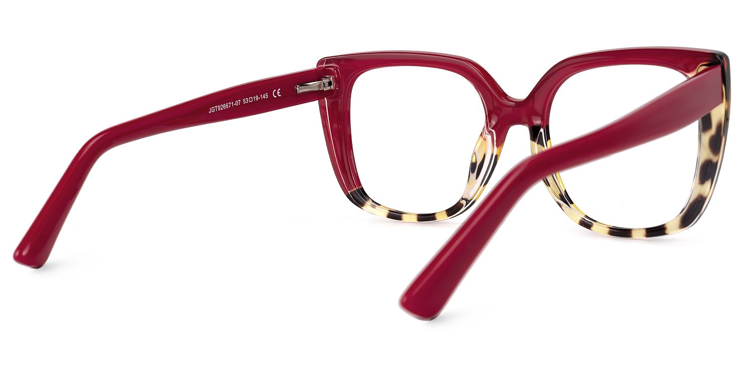 Square Carrero Two-Tone Eyeglasses and Glasses Frames2
