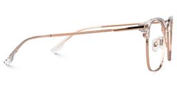 Aldridge Browline Clear Glasses2