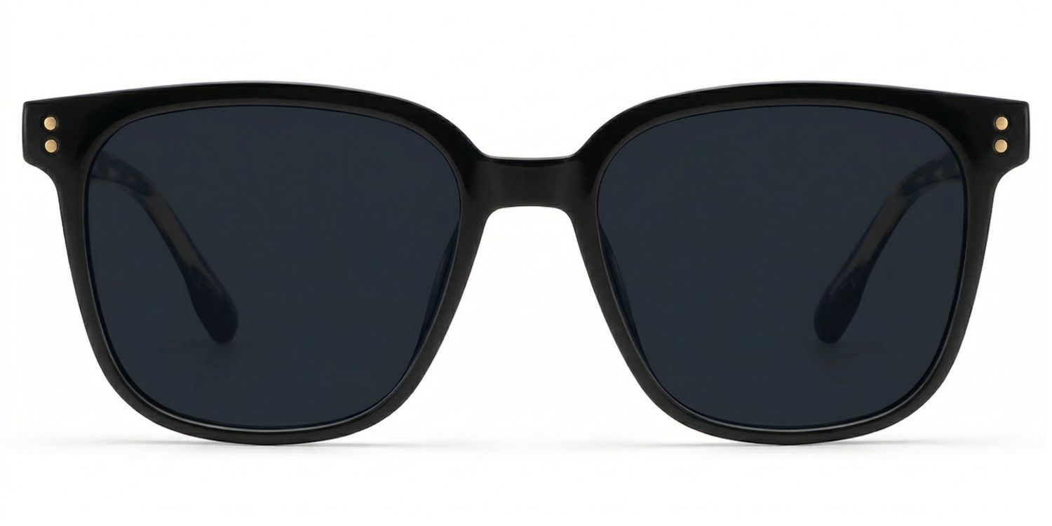 Donnalyn Tr90 Brown Frame Sunglasses | ZEELOOL