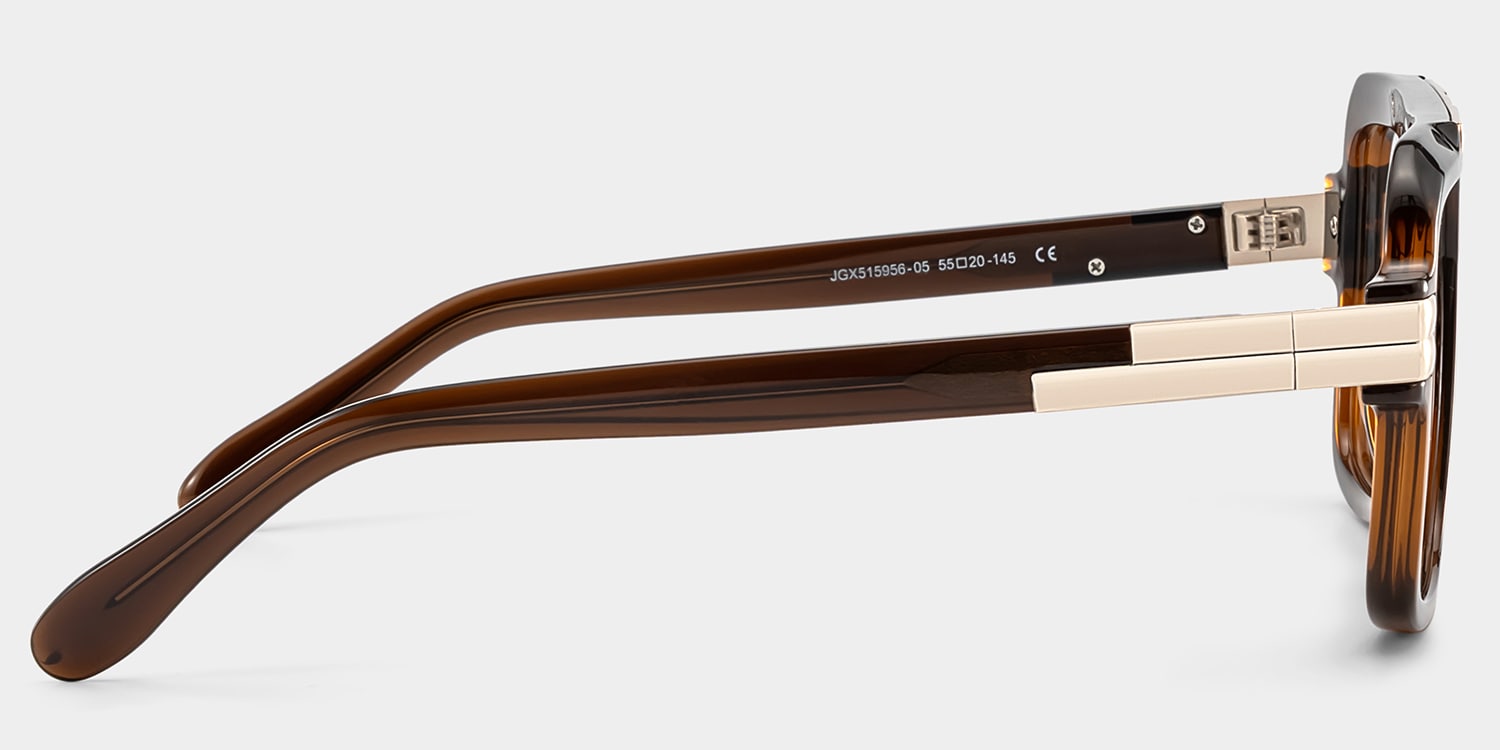 Croswell brown aviator glasses Online | ZEELOOL