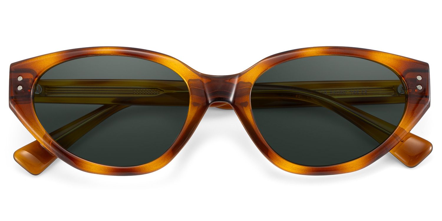 Raine Tr90 Tortoise Cat Eye Frame Sunglasses | ZEELOOL1