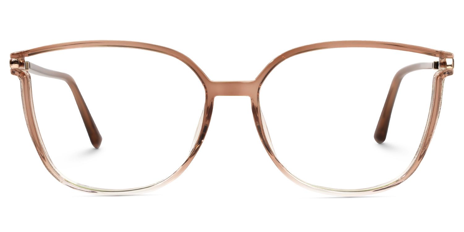 Rodz Square Brown Eyeglasses and Thin Frames Glasses0