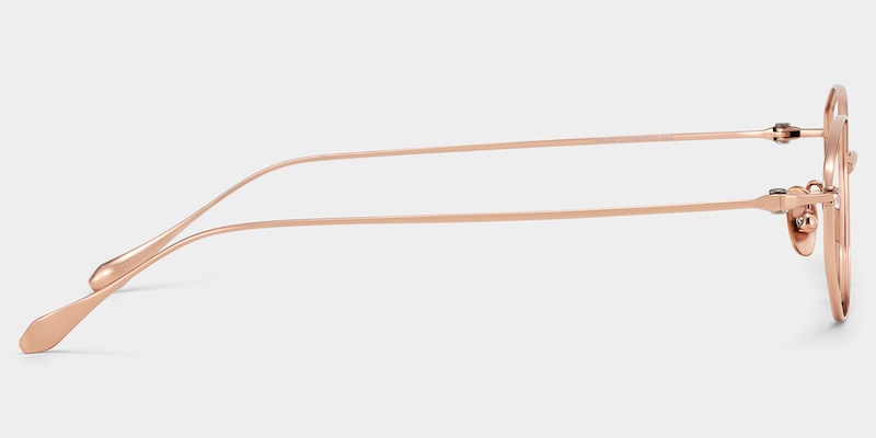 Everett Gold Frame Glasses with Geometric Frame Online |  ZEELOOL4