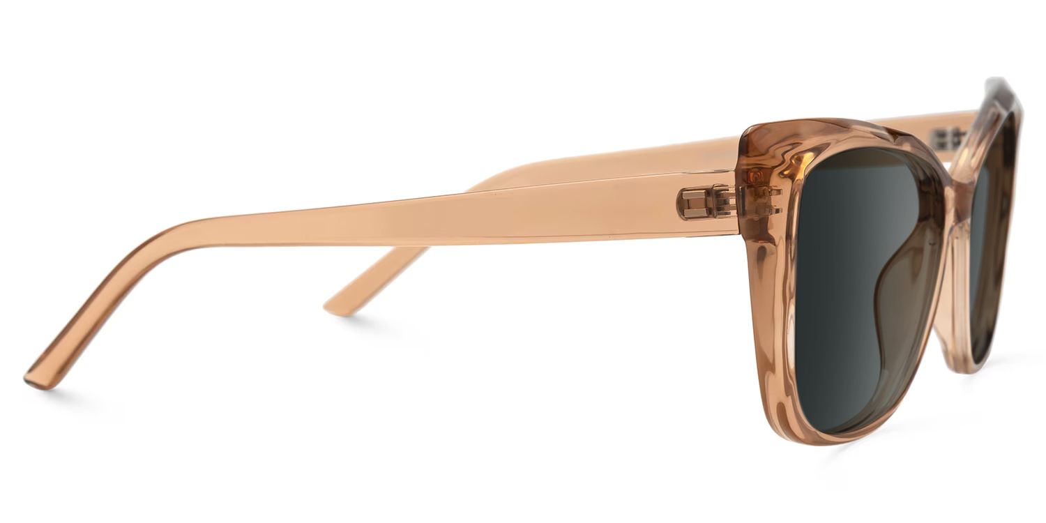 Farris Cat Eye Brown Frame Sunglasses Online Sale | ZEELOOL2