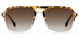 Kilworth Aviator Tortoise clear Glassess0