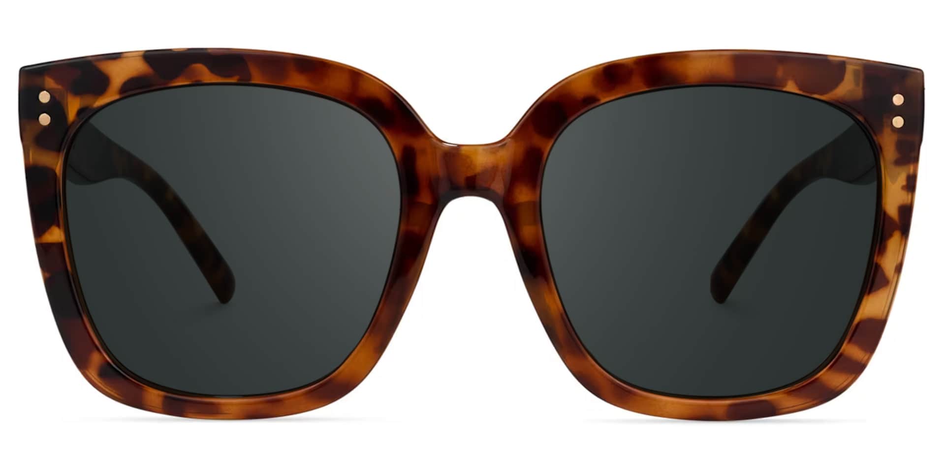Ebony Tortoise Sunglasses and Square Sunglasses Frames0