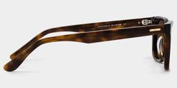 Patrick Rectangle Tortoise Glasses3