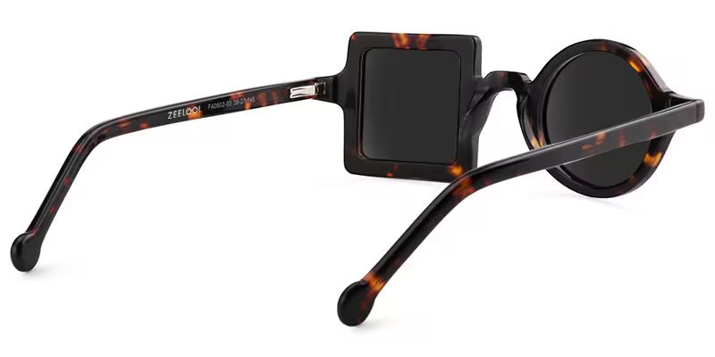 Paola Asymmetric Sunglasses with Tortoise Frames4