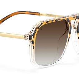 Kilworth Tortoise crystal Aviator Sunglasses4