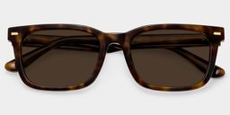 Patrick Tortoise Rectangle Sunglasses1