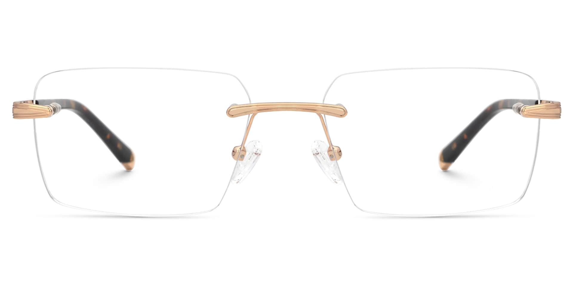 Tortoise Mixed-Materials Rectangle Eyeglasses- Savitrie0