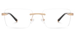 Savitrie Rectangle Tortoise Glasses0