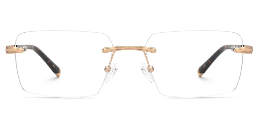 Savitrie Rectangle Tortoise Glasses