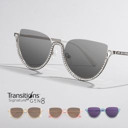 Sparkle Cateye Silver Glasses1