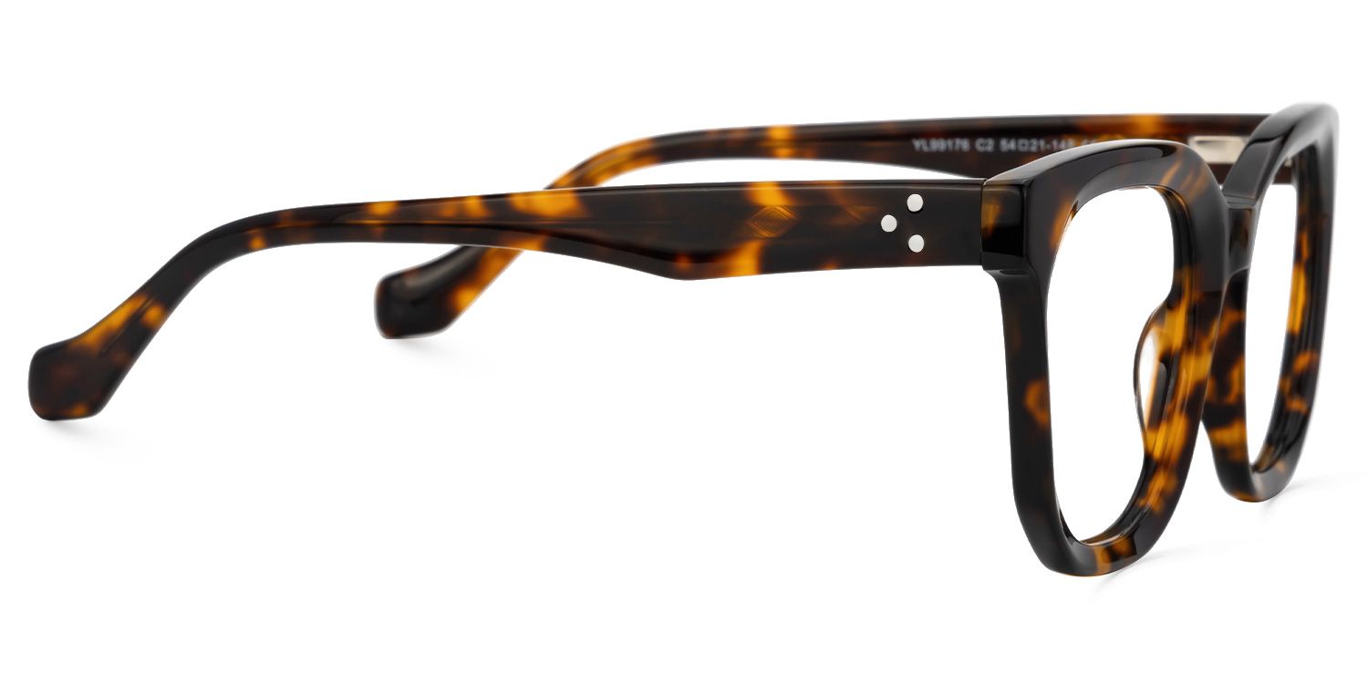 Beddoe Tortoise Square Acetate Full-Frame Eyeglasses | Zeelool2
