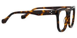Beddoe Square Tortoise Glasses2