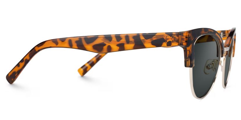 Charlene Tortoise Browline Cat Eye Sunglasses for Women display picture 3