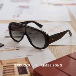 The Shield Black Aviator Sunglasses0