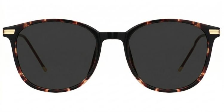 Greene Square Glasses