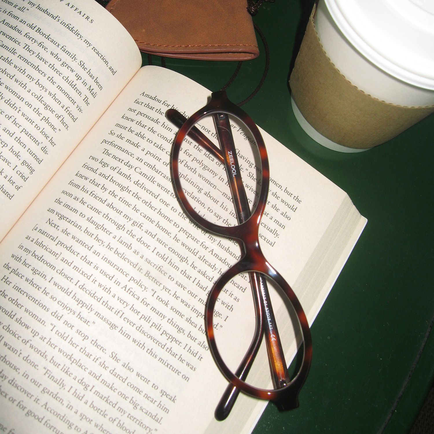 Oval Tortoise Eyeglasses- Everly Acetate Frame Glasses3