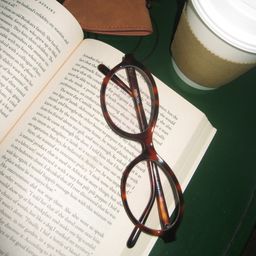 Everly Oval Tortoise Glasses3