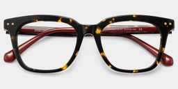 Angela Tortoise Rectangle Glasses2